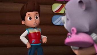 汪汪队吃瓜网,揭秘狗狗世界的趣味八卦