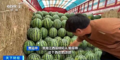 莒南网红红衣哥吃瓜,一场网络狂欢背后的真相